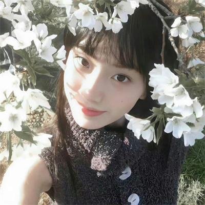 法网追凶第二季